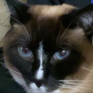 Meet your Posher, Katrina